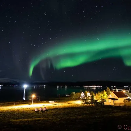 In The Spot Of The Midnight Sun And Aurora Borealis.